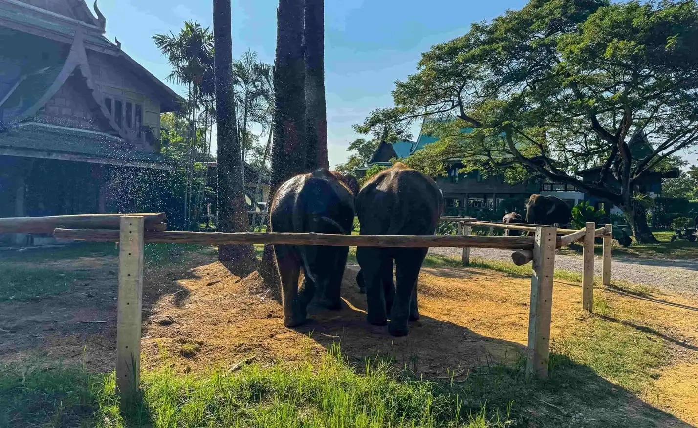 Amazing Zoo in Yogyakarta