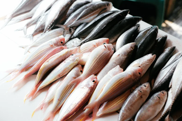 warung seafood berdikari