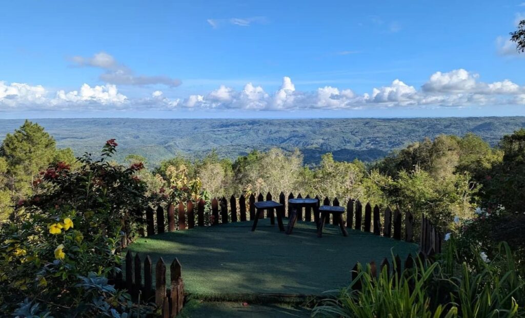 Imogiri Pine Forest Jogja 
