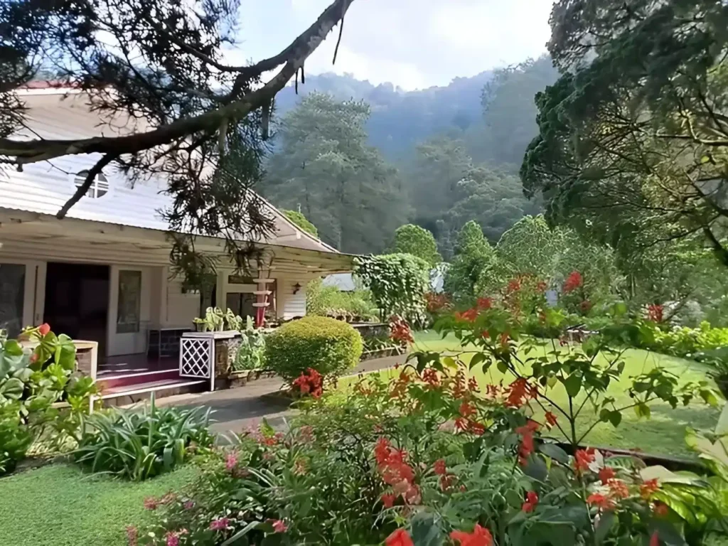 Rumah Rasa | Kaliurang