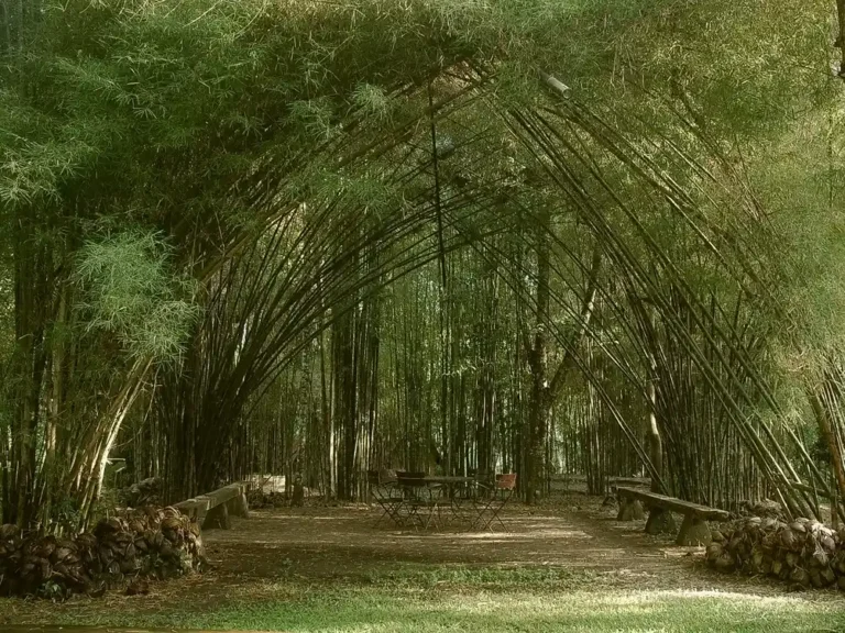 Ruas Bambu Nusa