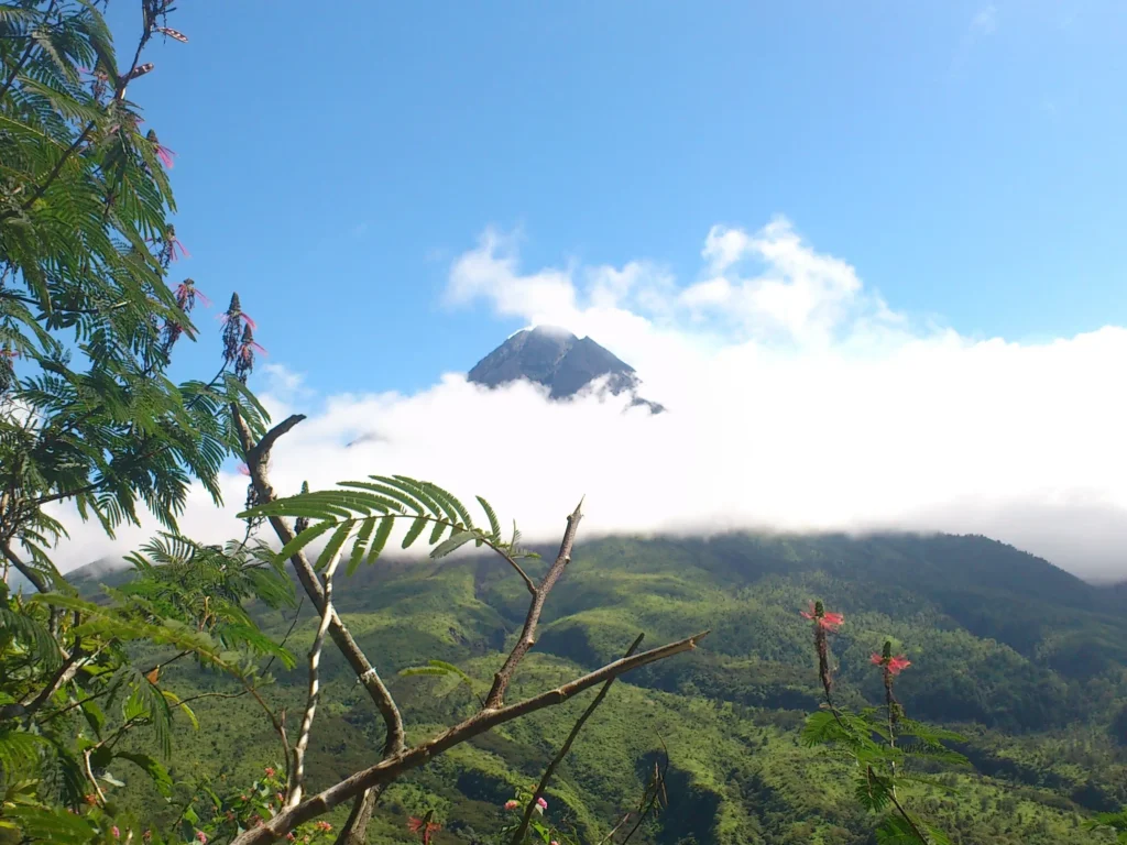 How to Get to Turgo Hill