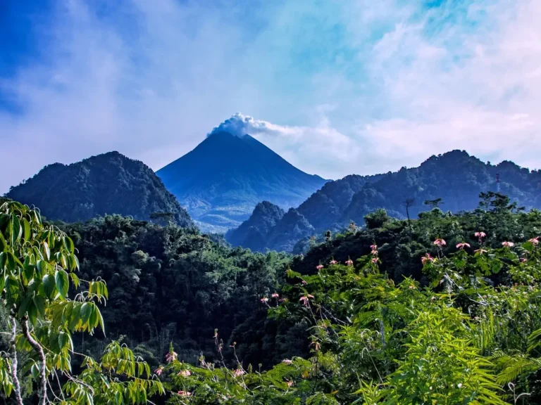 Turgo Hill