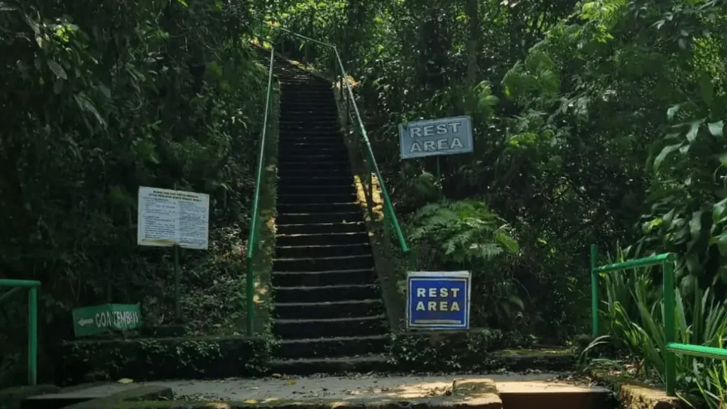 Enchanting Turgo Hill