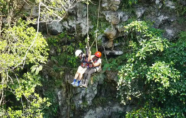 Caving descent into Jomblang Cave surrounded by vegetation