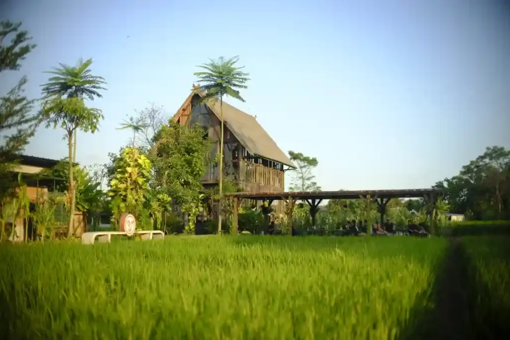 Ayom Jogja