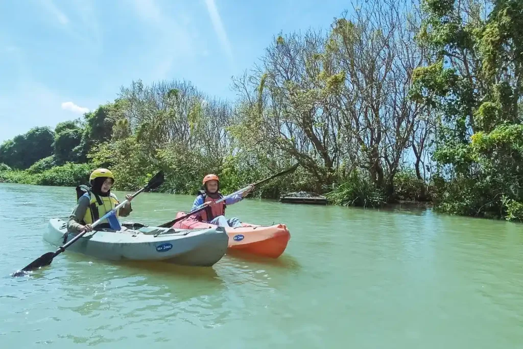 Canoeing Kano Mangroves Baros Yogyakarta