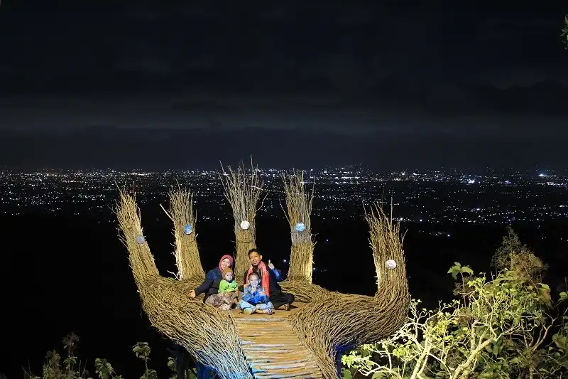 Photo spot at Pengger Pine Forest at night