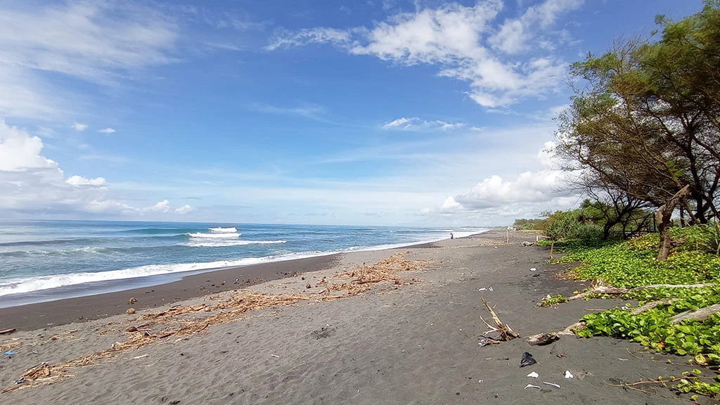 Trisik Beach in Kulonprogo