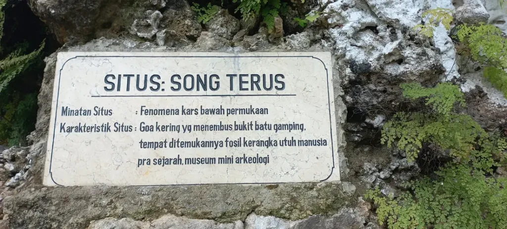 Song Terus Cave