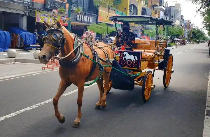 Traditional andong cart