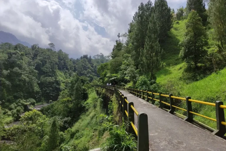 Destination - Plunyon Kalikuning