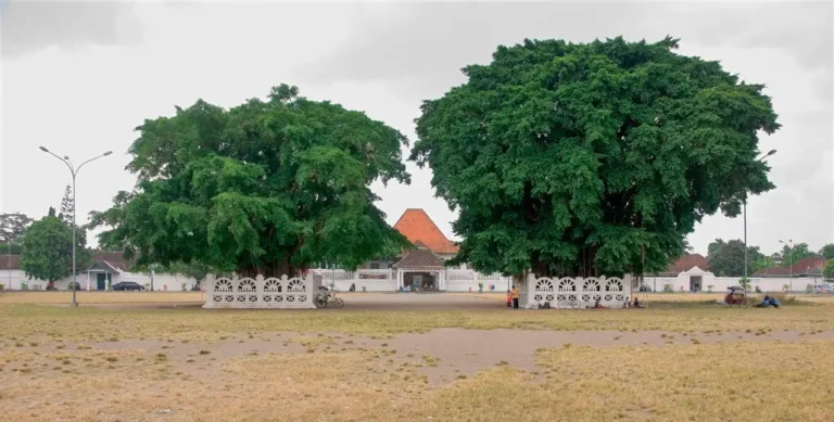 Alun alun kidul yogyakarta