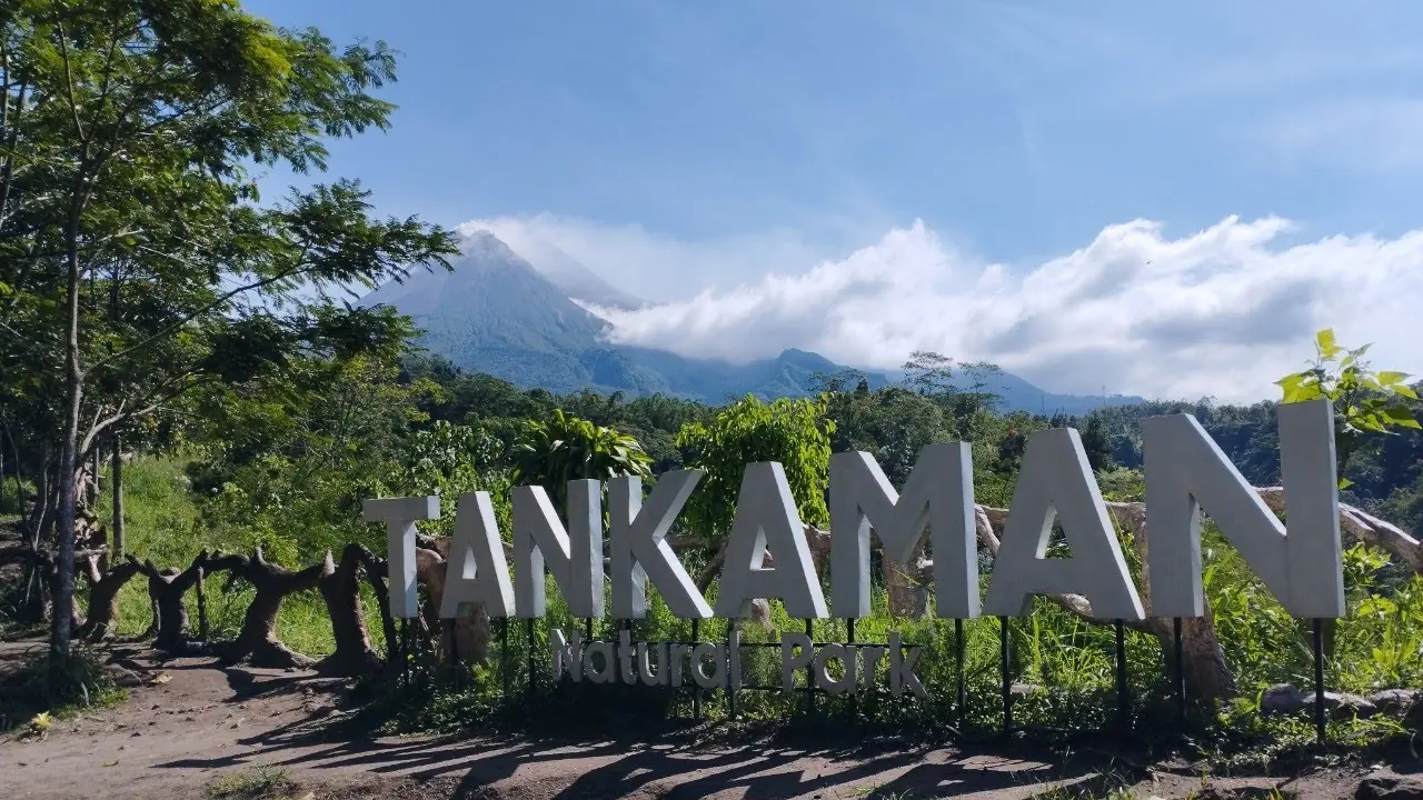 Tankaman kaliurang