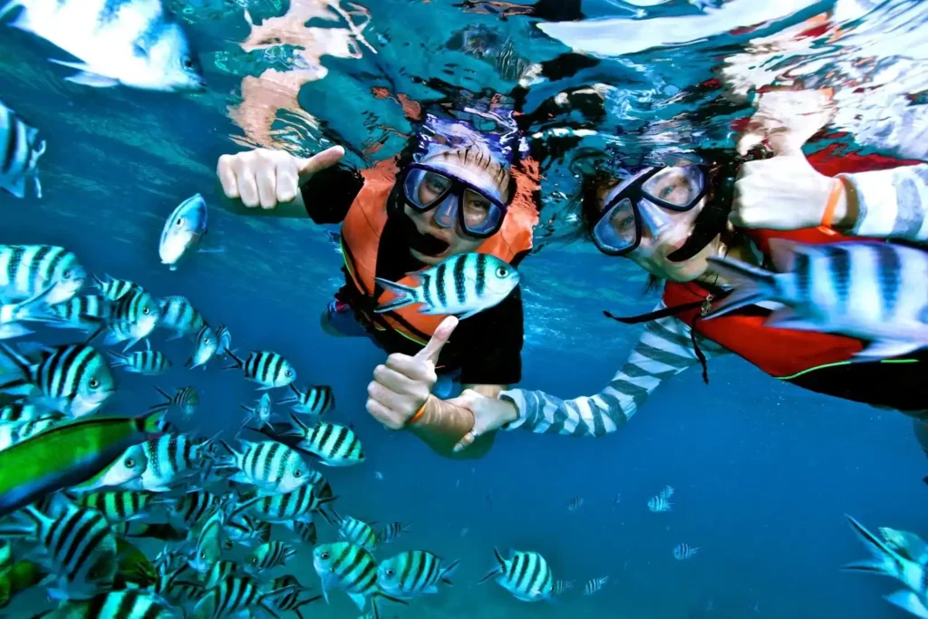Karimunjawa snorkeling