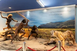 Sangiran Early Man Site diorama