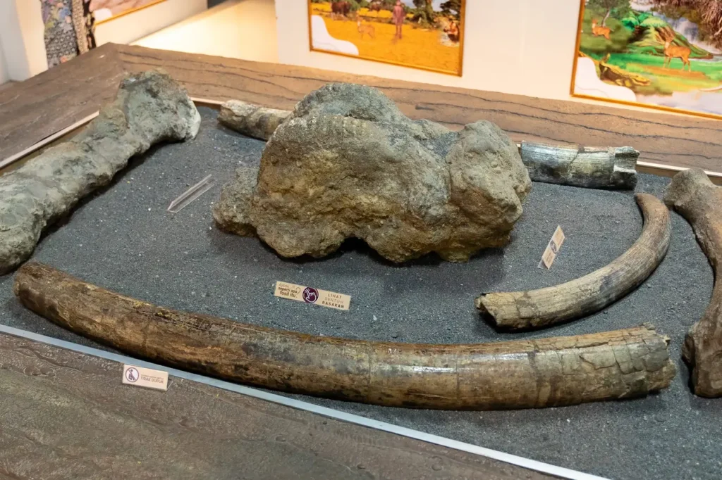 Sangiran Early Man Museum