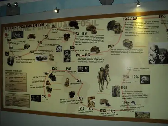 Sangiran Early Man Site