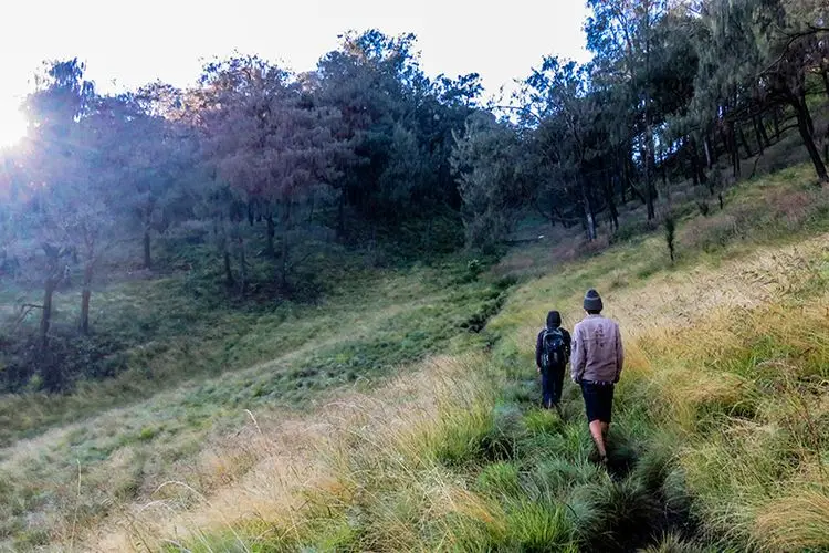 Gunung Lawu