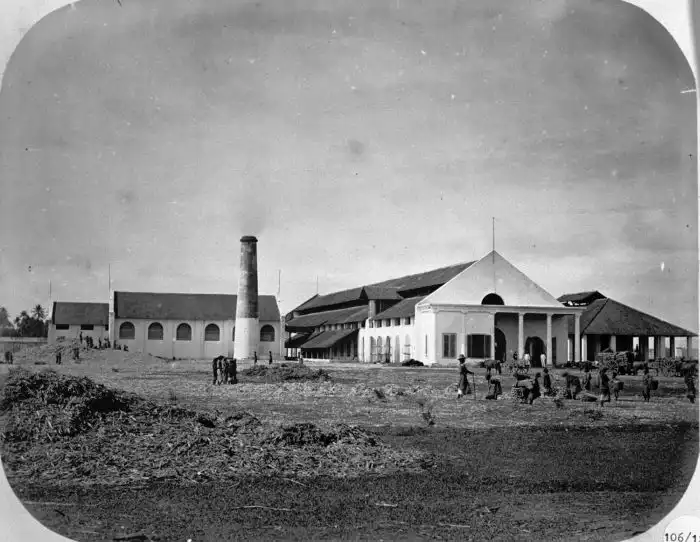 De Tjolomadoe archive