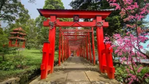 Torii gate Sakura Hills