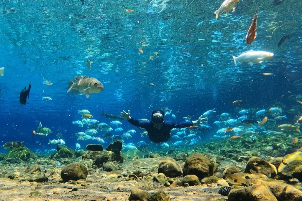 Umbul Ponggok water