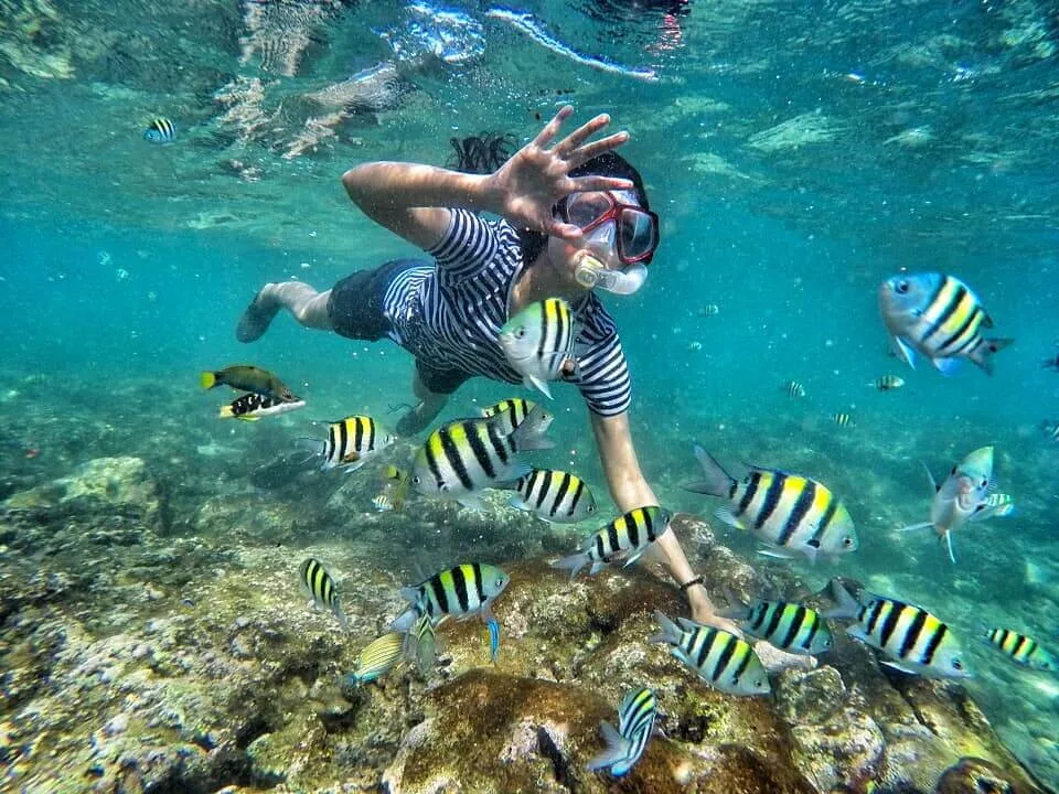 Nglambor Beach snorkeling