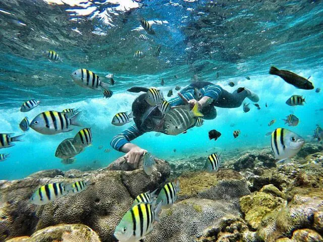 Nglambor Beach snorkeling
