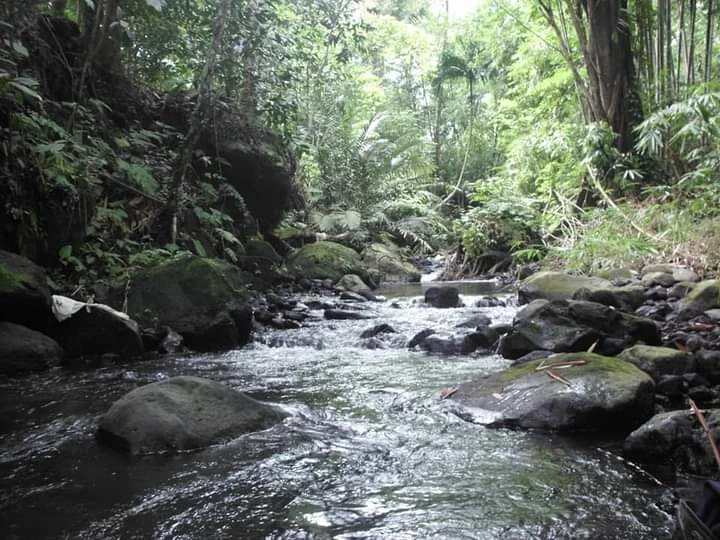 Kali Tepus Camping Ground