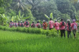 Jogja International Heritage Walk