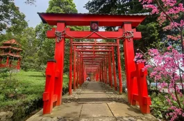 Torii gate Sakura Hills