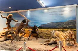 Sangiran Early Man Site diorama